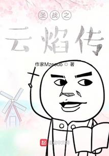 小说家集