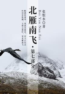 夏言的舰队