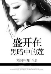 尘世倾2