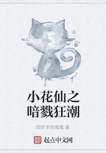 偶像公主