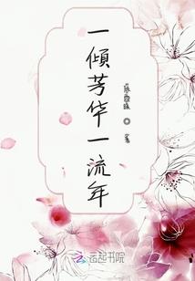 陌武天极