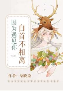 九渡仙界