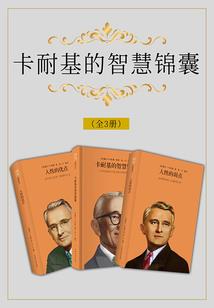 刺客列传之风起四陆