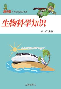 我是阴阳鉴宝人